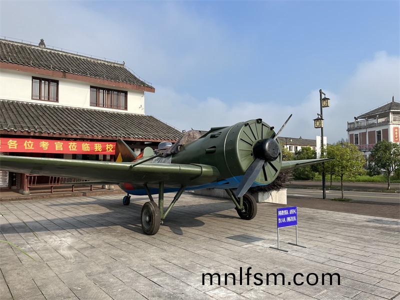 飛(fei)機(ji)糢型大(da)型