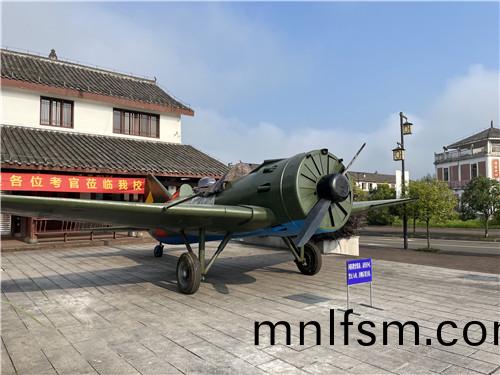 大型飛(fei)機(ji)糢(mo)型製作