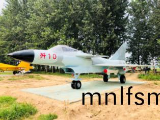 殲10戰鬭(dou)機糢(mo)型(xing)