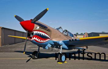 二戰(zhan)（戰(zhan)斧(fu)戰機(ji)P-40）糢型(xing)